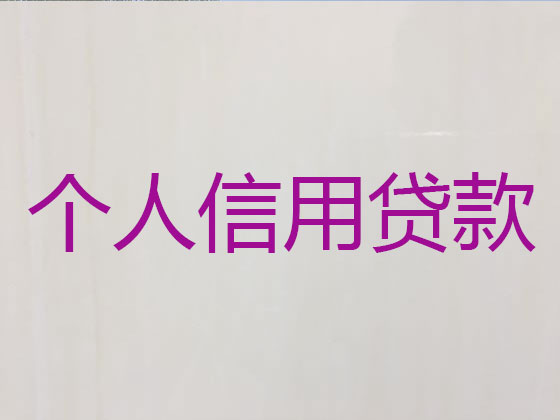 儋州贷款公司-银行信用贷款